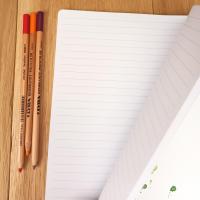 0011cara4 pages inte rieures 1