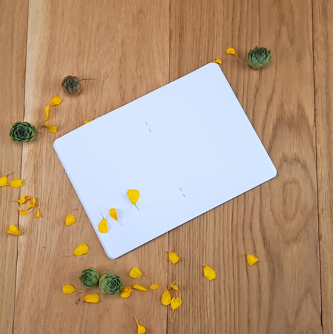 0023a6 danse avec les fleurs interieur