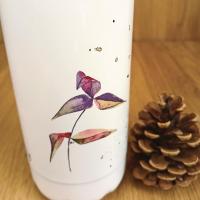 0043 b50043 2 rvb1080