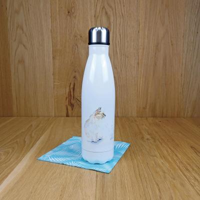 0101 b50101 2 rvb1080