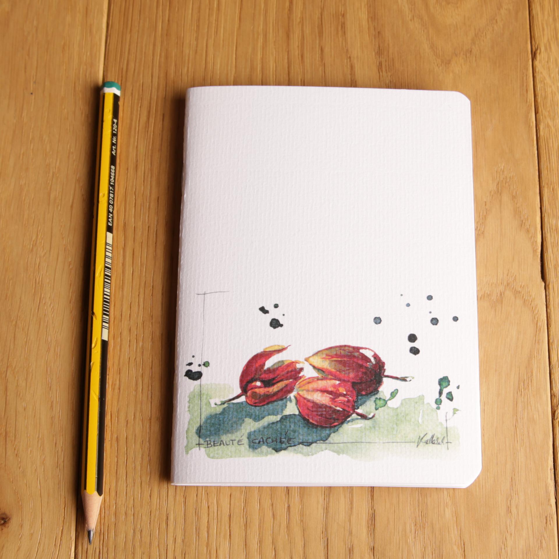 A60006 beaute cachee couv et crayon