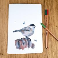 Carnet A5 fauvette couverture