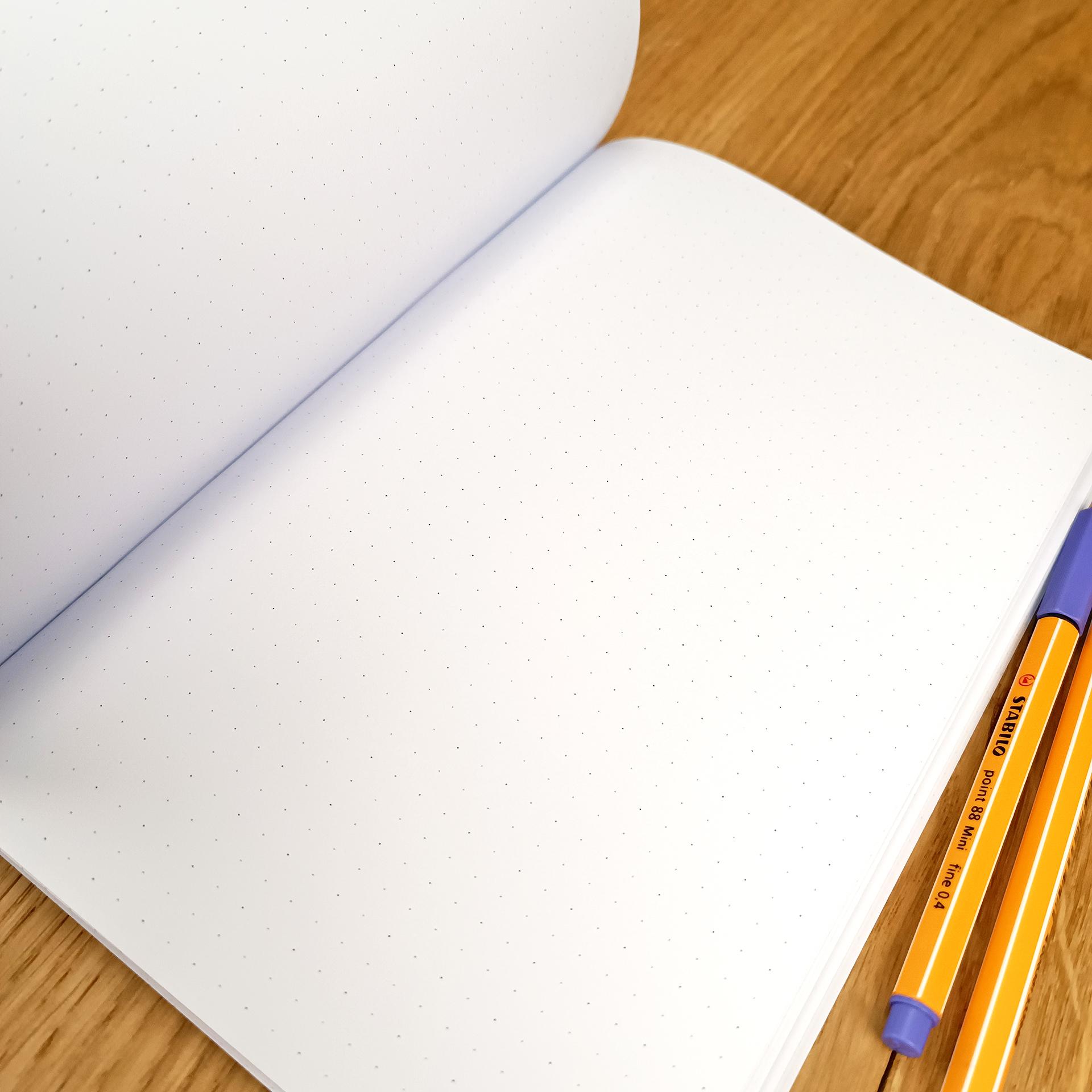 Cara5 tempssusp pages 1