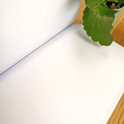 Carnet A5 Tout ce qui me passera par la tête -  Pages intérieures