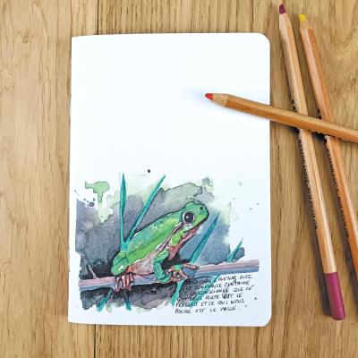 Carnet A6 - Grenouille - Couverture