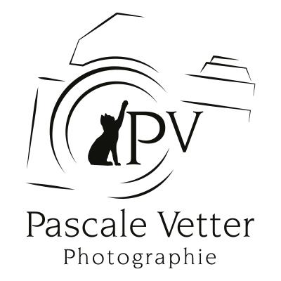 Fil et graff graphiste alsace pascale vetter photographie