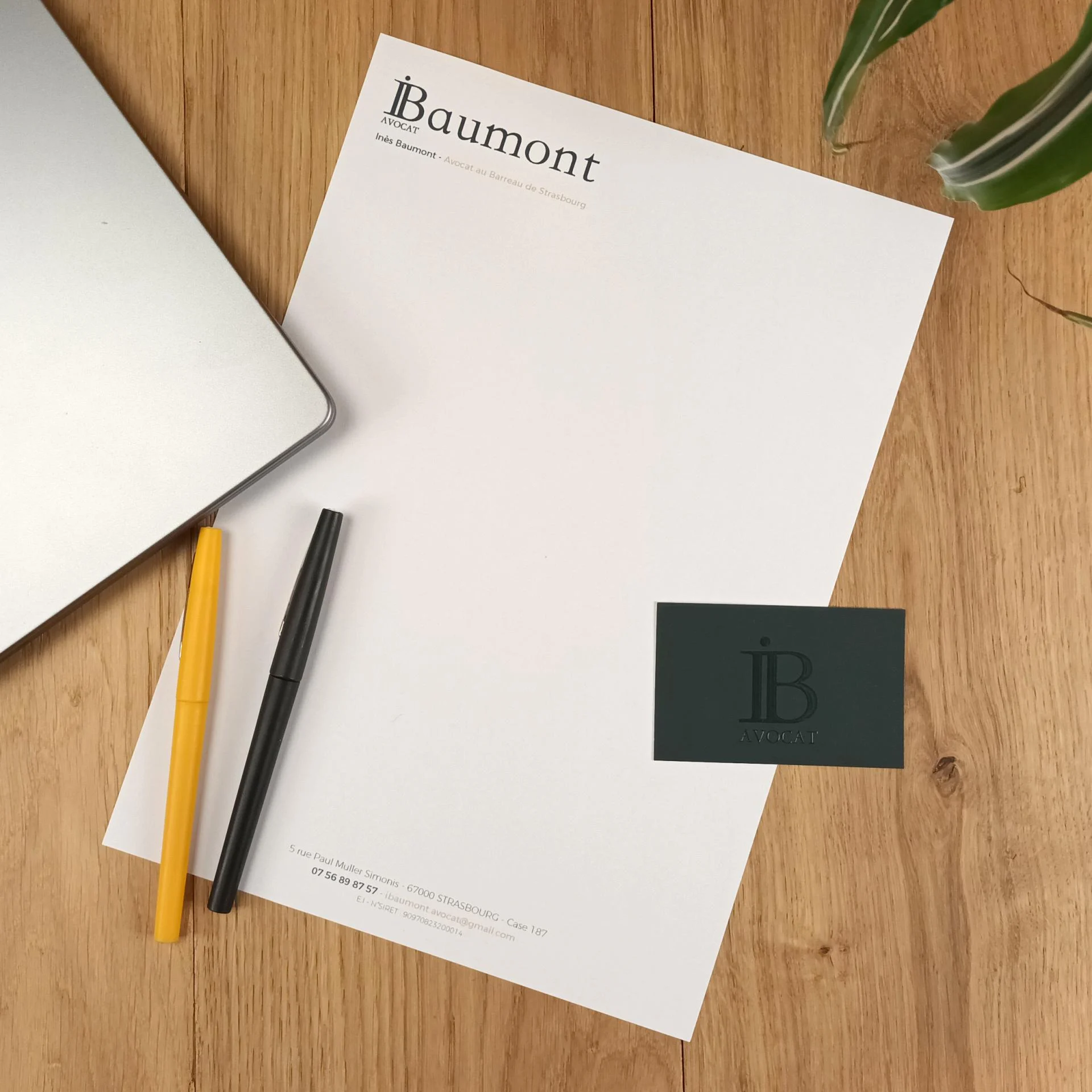 Ines baumont avocat charte graphique 3