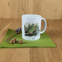 Mr0034 grenouille visuel 1