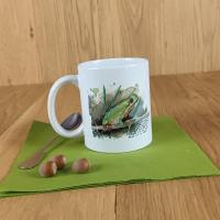 Mr0034 grenouille visuel 2