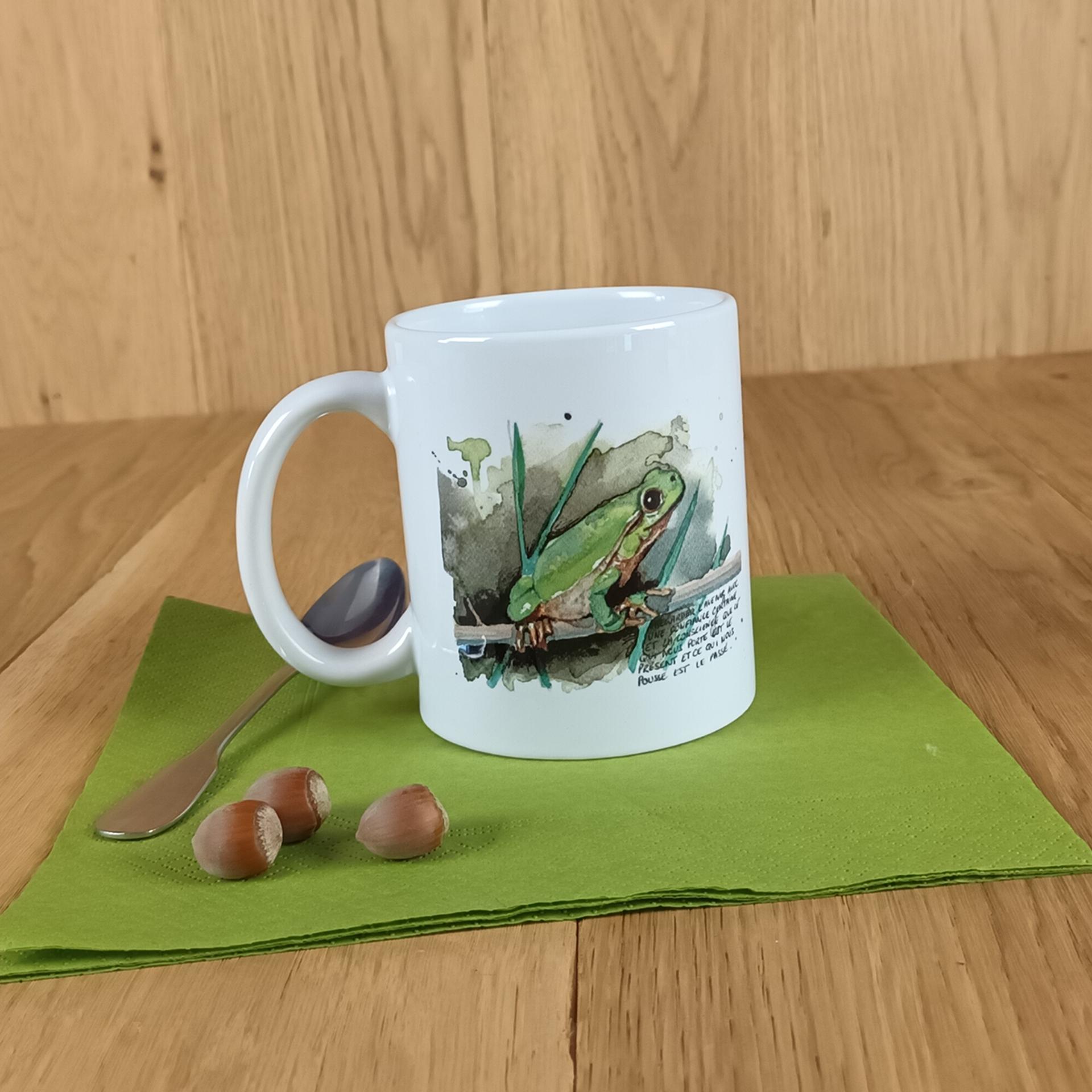 Mr0034 grenouille visuel 2