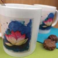 Mr0069 gros plan rvb1080