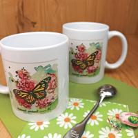 Mr0074 gros plan2 rvb1080