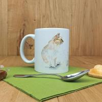 Mr0101 devant rvb1080