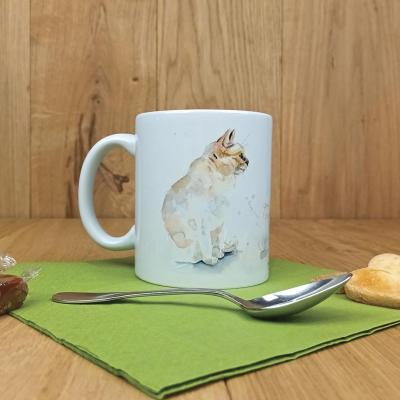 Mr0101 devant rvb1080