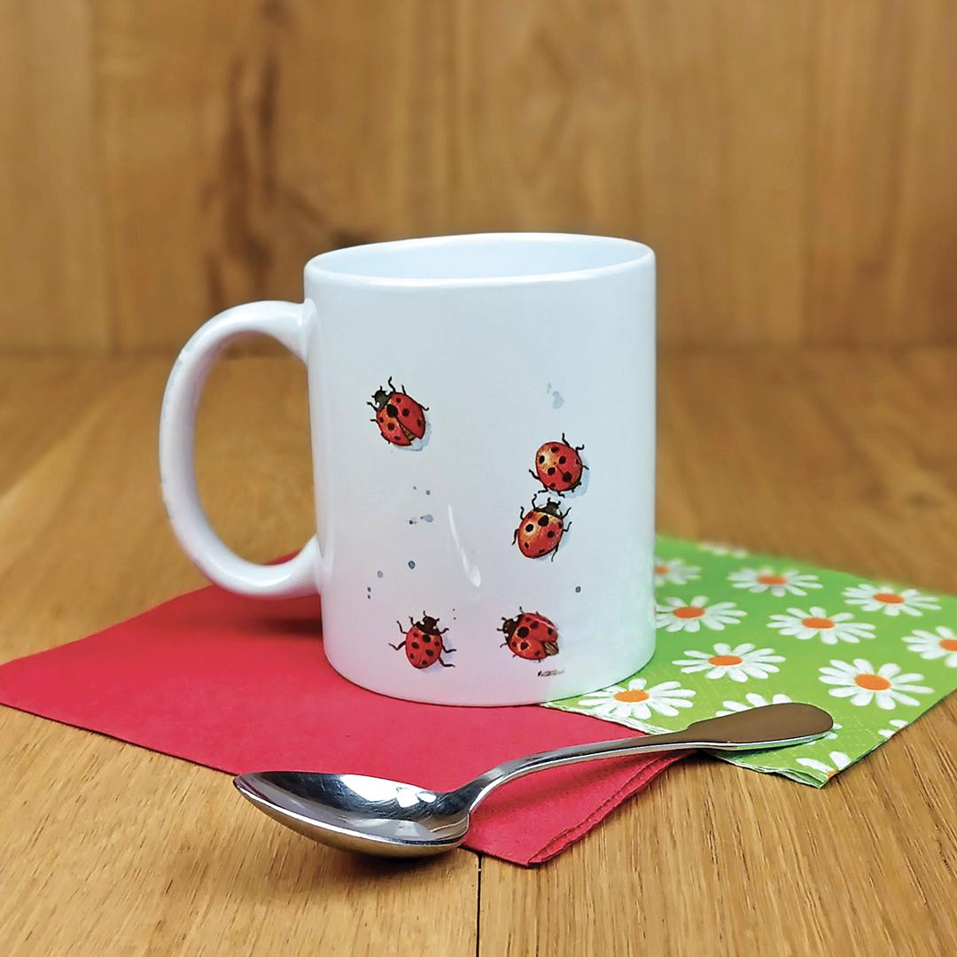 Mr0143 face3 rvb1080