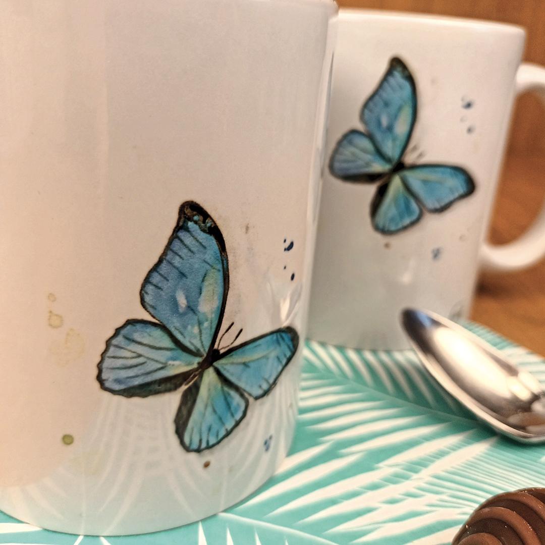 Mr0165 gros plan rvb1080